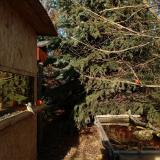 photo 2021-12-31 13-33-27