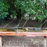 photo 2021-08-01 10-53-43