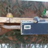 photo 2021-02-13 08-39-35