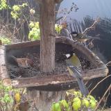 photo 2019-12-14 10-09-06