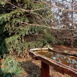 photo 2021-11-14 13-03-58