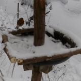 photo 2019-01-05 14-14-26