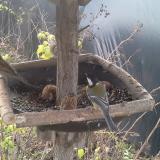 photo 2019-12-21 08-08-49