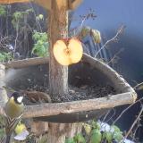 photo 2019-12-03 13-15-56