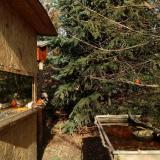 photo 2022-01-01 12-41-58