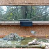 photo 2023-10-28 12-24-25