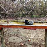 photo 2021-03-15 08-58-59