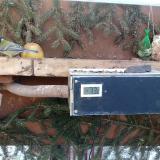 photo 2021-02-13 09-01-50