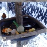 photo 2019-01-22 07-53-58