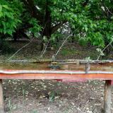 photo 2021-05-15 13-54-50