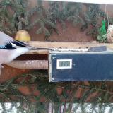 photo 2021-02-13 07-56-52