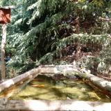 photo 2023-10-12 12-43-43