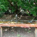 photo 2021-08-04 13-46-10