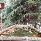 photo 2023-10-04 10-20-11