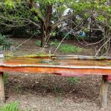 photo 2021-04-19 12-45-36