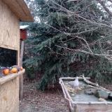 photo 2021-12-22 08-00-53