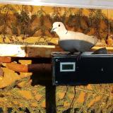 photo 2021-03-06 16-29-55