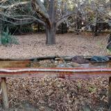 photo 2021-10-26 07-56-17