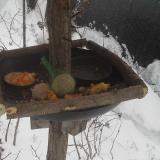 photo 2019-01-23 09-44-15