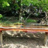 photo 2021-04-30 12-01-41