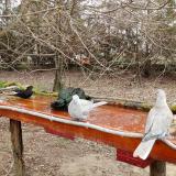 photo 2021-03-25 09-24-53