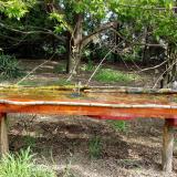 photo 2021-04-27 09-47-06