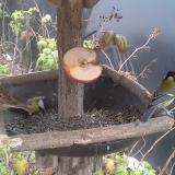 photo 2019-12-05 12-50-11