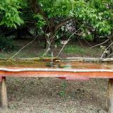 photo 2021-05-06 10-38-13