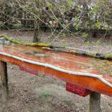 photo 2021-04-03 12-42-31