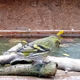 photo 2023-10-28 12-19-19 csiz