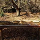 photo 2021-10-29 14-26-27