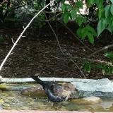 photo 2021-08-04 11-56-43 rigo