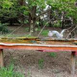 photo 2021-04-28 11-41-03