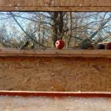 photo 2022-01-14 13-45-19