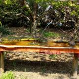 photo 2021-04-21 12-52-13