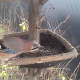 photo 2019-12-25 12-16-45