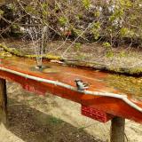 photo 2021-04-06 12-51-28