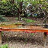 photo 2021-04-19 12-58-52