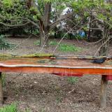 photo 2021-04-17 16-49-42