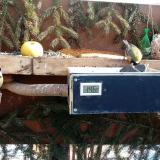 photo 2021-02-13 10-38-53