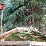 photo 2023-10-01 10-24-35