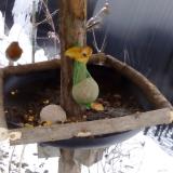 photo 2019-01-20 14-10-33