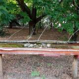 photo 2021-07-13 18-32-22