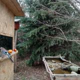 photo 2021-12-19 12-18-35