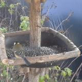 photo 2019-12-15 11-57-26