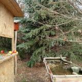 photo 2021-12-26 11-45-08