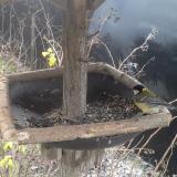 photo 2019-12-27 09-03-02