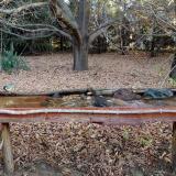 photo 2021-10-26 07-55-50