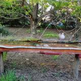 photo 2021-04-23 18-37-42