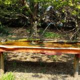 photo 2021-04-21 12-48-46